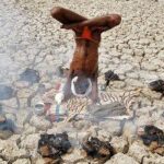 نمونه هایى از ریاضات عجیب سران عرفان و تصوف-حضرت آیت الله مکارم شیرازی