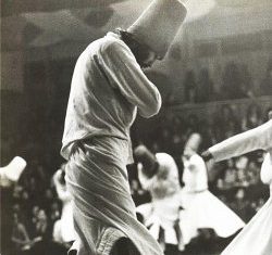 پاسخی به غزل مولوى: هر لحظه به شکلی بت عیار بر آمد؛ دل برد و نهان شد…